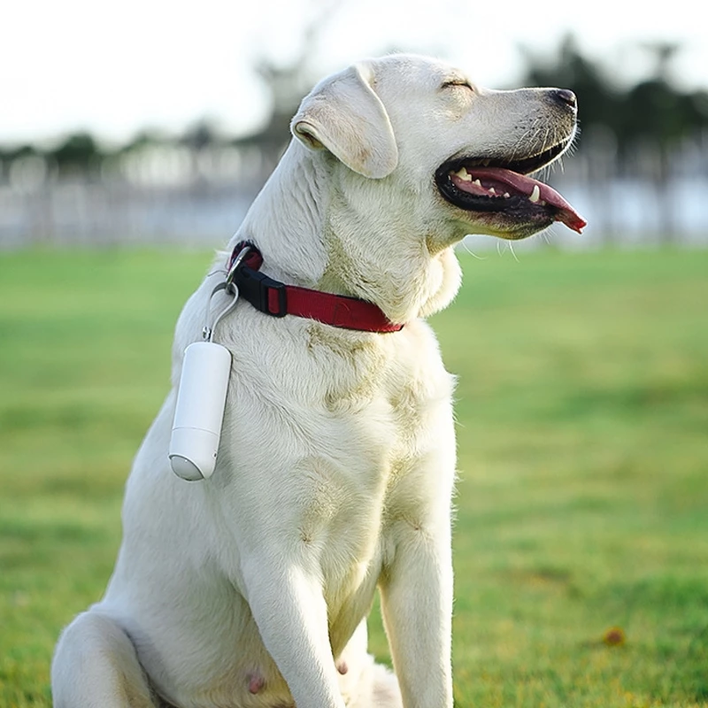 Convenient Pet Waste Bag Dispenser: LED Light & USB Charging Included!